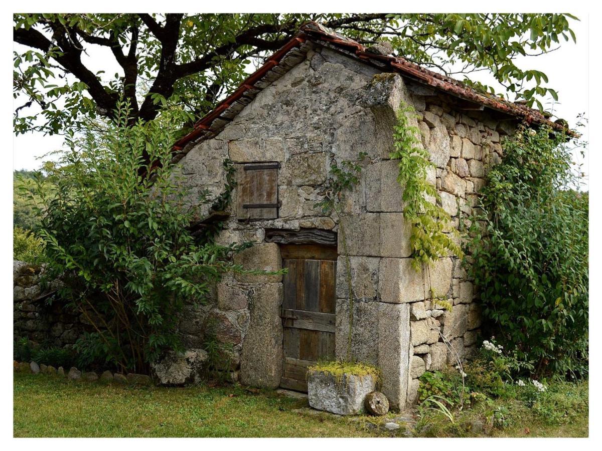 A L'Ombre Du Tilleul Comiac Bagian luar foto